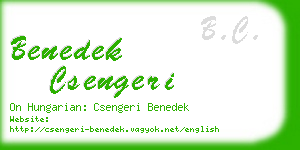 benedek csengeri business card